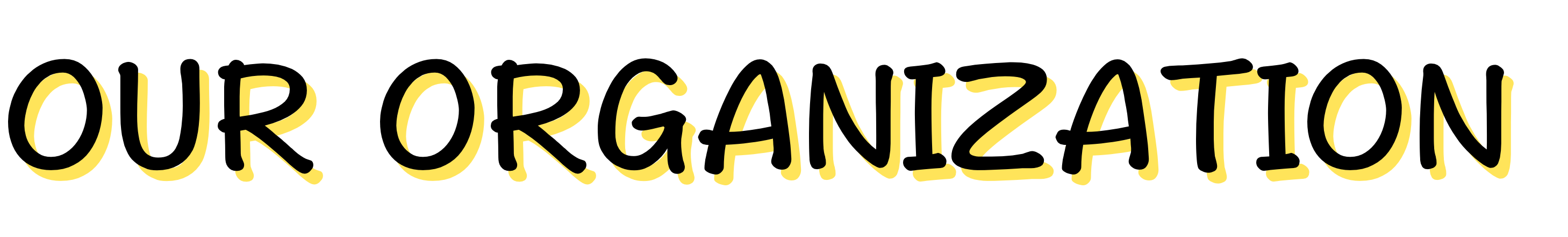 OUR ORGANIZATION